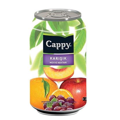 Cappy 330 ml Kutu Karışık Meyve Nektarı Resmi