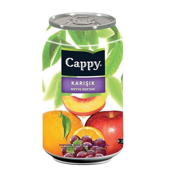 Cappy 330 ml Kutu Karışık Meyve Nektarı resimleri