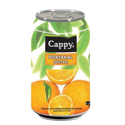 Cappy 330 ml Kutu Portakal Nektarı Resmi