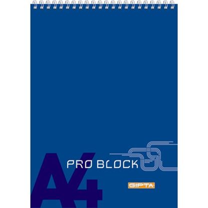 Gıpta Pro Block Sp. Karton Kapak Bloknot A4 40 Yaprak Kareli Resmi